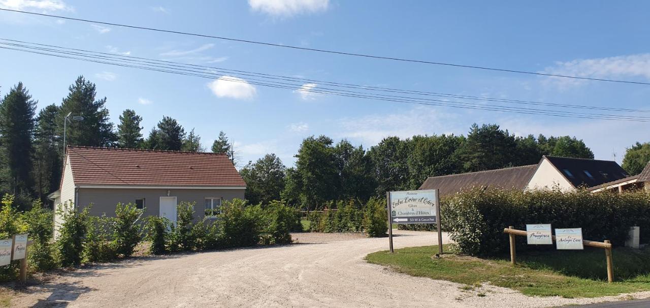 Entre Loire Et Cher "Les Bruyeres" Gite & Spa Privatif Tour-en-Sologne Exterior foto